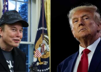 Trump defiende a Musk y lanza esta advertencia a su gabinete