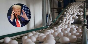 Turquía huevos aranceles