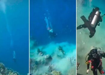 Terremoto bajo el agua: buzos registran el momento exacto del sismo en el Caribe