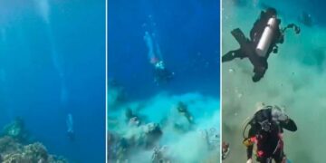 Terremoto bajo el agua: buzos registran el momento exacto del sismo en el Caribe