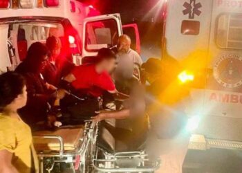 Vaca accidente San Fernando