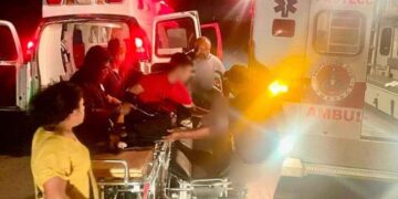 Vaca accidente San Fernando