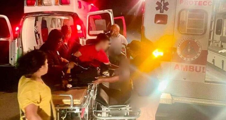 Vaca accidente San Fernando