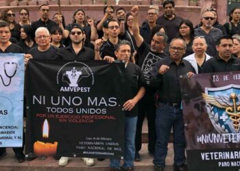 Veterinarios de Tamaulipas exigen justicia Ni uno más, ni un Héctor más