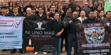 Veterinarios de Tamaulipas exigen justicia Ni uno más, ni un Héctor más