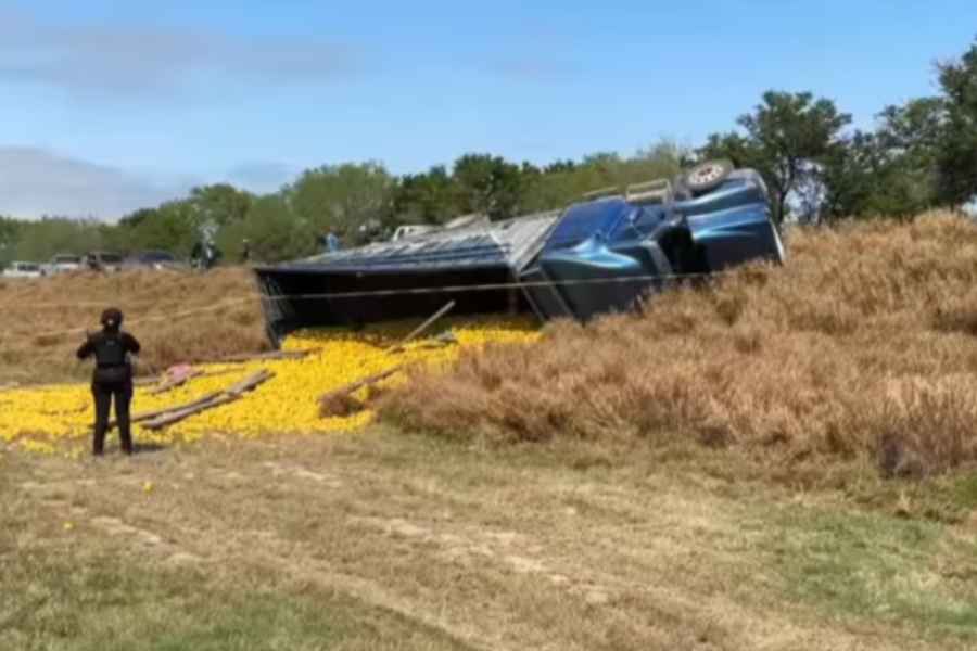 Vuelca camión cargado con naranjas en Padilla, Tamaulipas; hay un muerto y al menos 11 heridos