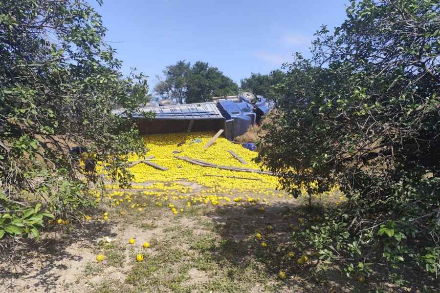 Vuelca camión cargado con naranjas en Padilla, Tamaulipas; hay un muerto y al menos 11 heridos