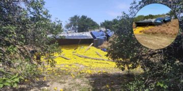 Vuelca camión cargado con naranjas en Padilla, Tamaulipas; hay un muerto y al menos 11 heridos