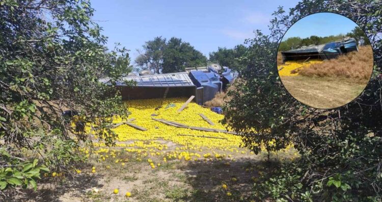 Vuelca camión cargado con naranjas en Padilla, Tamaulipas; hay un muerto y al menos 11 heridos
