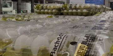 aumento precio del huevo Matamoros