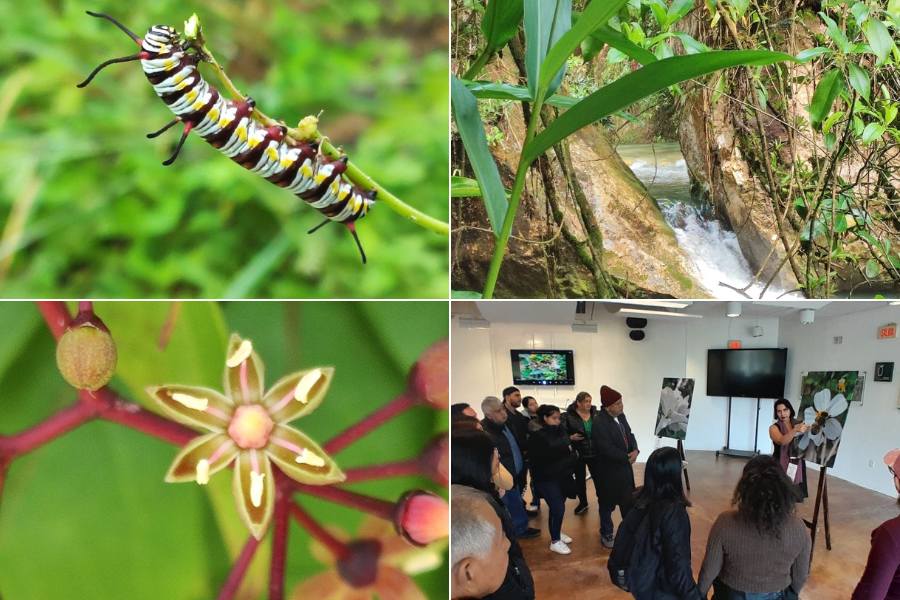 biodiversidad de la biósfera el cielo
