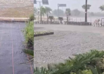 caída granizo Nuevo León