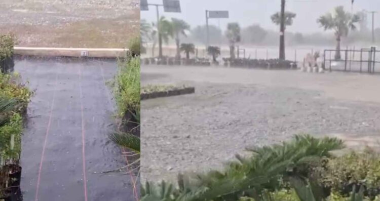 caída granizo Nuevo León