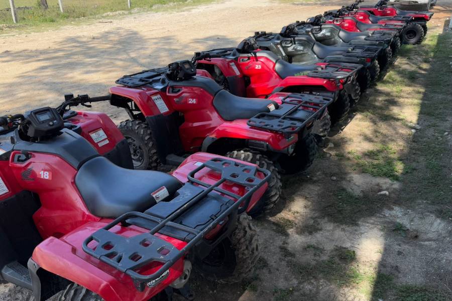 campos tortugueros en Tamaulipas