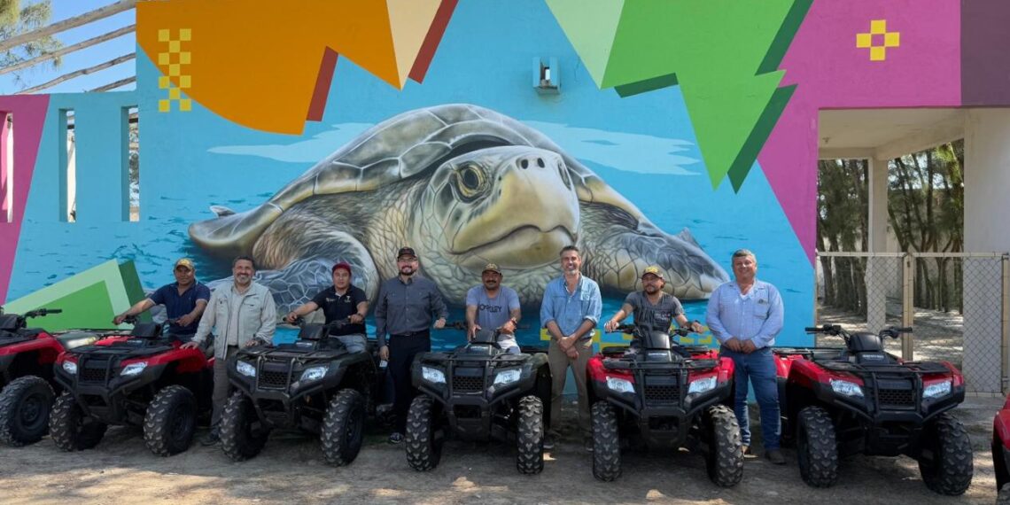 campos tortugueros en Tamaulipas