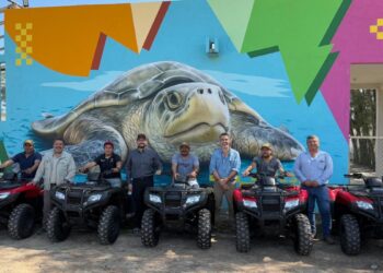 campos tortugueros en Tamaulipas