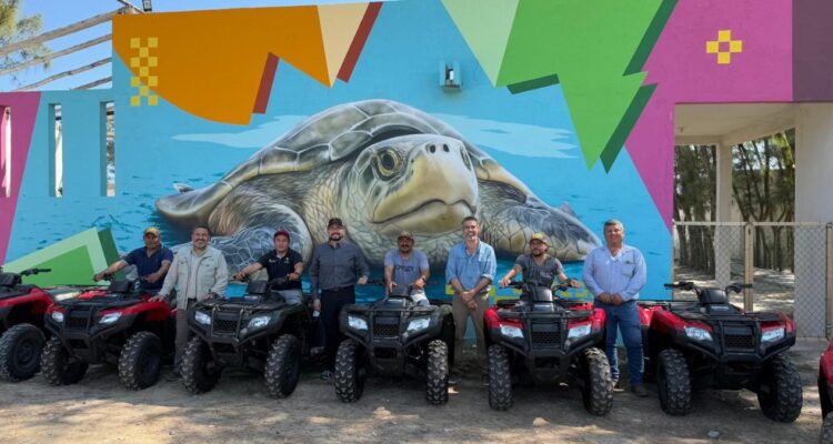 campos tortugueros en Tamaulipas