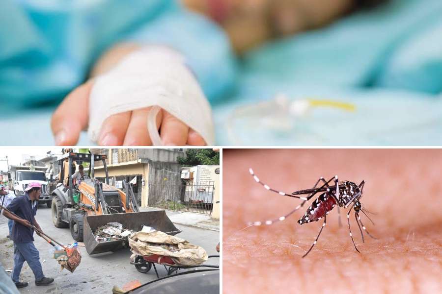 casos de dengue en el sur de Tamaulipas