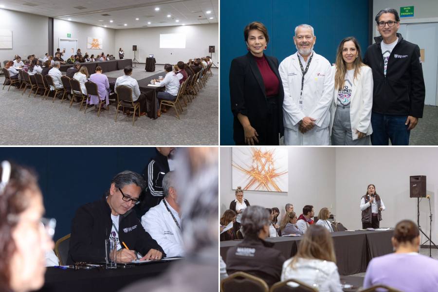 comité para la seguridad en salud en madero