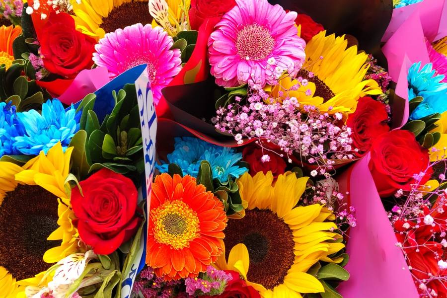 día del amor y la amistad en reynosa