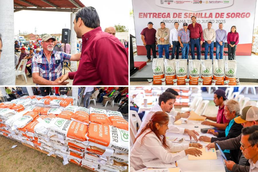 entrega de semilla de sorgo en Reynosa