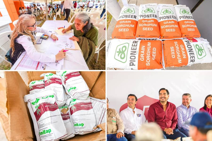 entrega de semilla de sorgo en Reynosa
