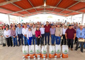 entrega de semilla de sorgo en Reynosa