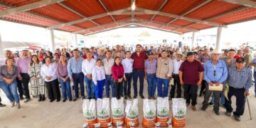 entrega de semilla de sorgo en Reynosa