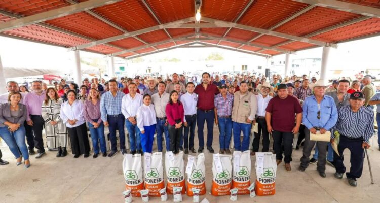 entrega de semilla de sorgo en Reynosa