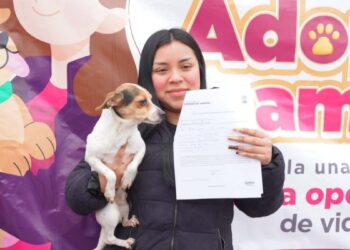 feria de adopciones de mascotas en nuevo laredo