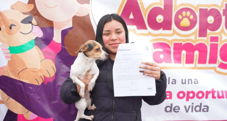 feria de adopciones de mascotas en nuevo laredo