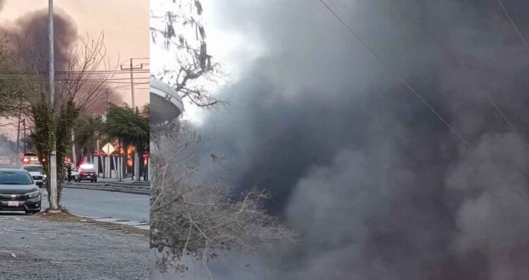 incendio pastizales Linares