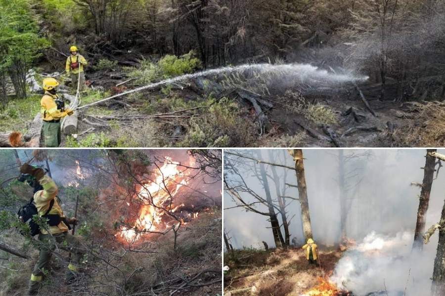incendios forestales en Ciudad Victoria
