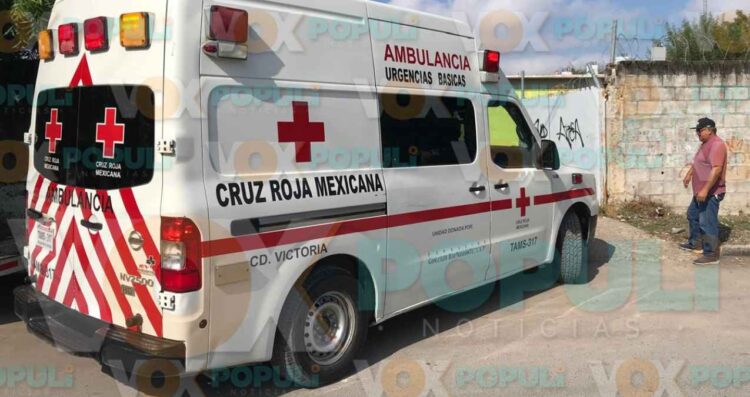 _mordedura serpiente en Victoria