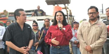 operativo de bienestar y paz en tampico