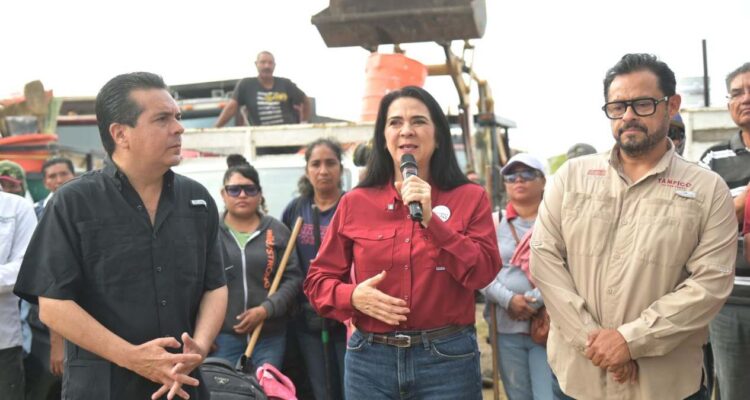 operativo de bienestar y paz en tampico