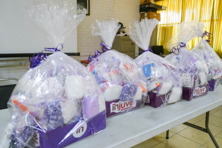 Productos de higiene femenina Tamaulipas