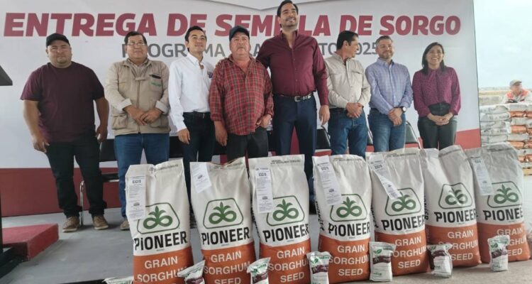 programa trato justo en reynosa
