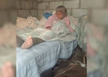 solidaridad Ciudad Victoria