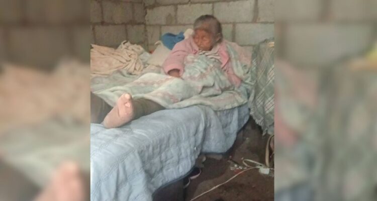 solidaridad Ciudad Victoria