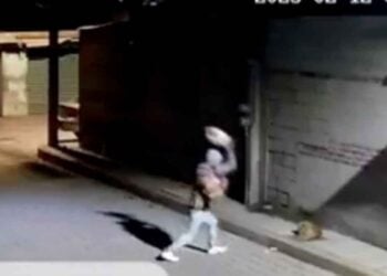 ¡Crueldad en Puebla! Video muestra a hombre arrojando piedra a Huesitos, un perrito indefenso