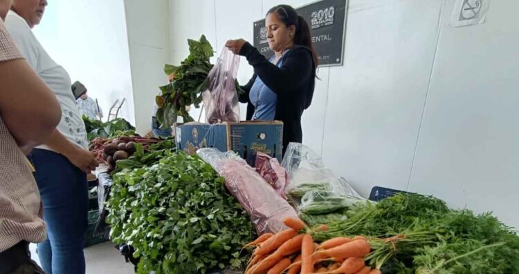 Productores de vegetales impulsan el consumo local en Victoria