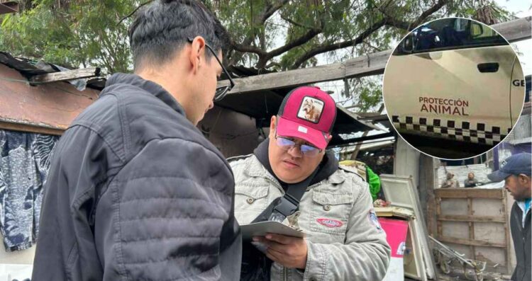 ¡Perrita "Camilia" es atacada con machete en Escobedo! Piden justicia por su muerte