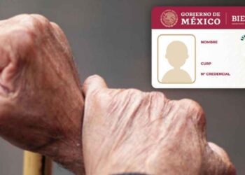 ¿Buscas ahorrar en tu despensa Los mejores descuentos de INAPAM 2025 para adultos mayores