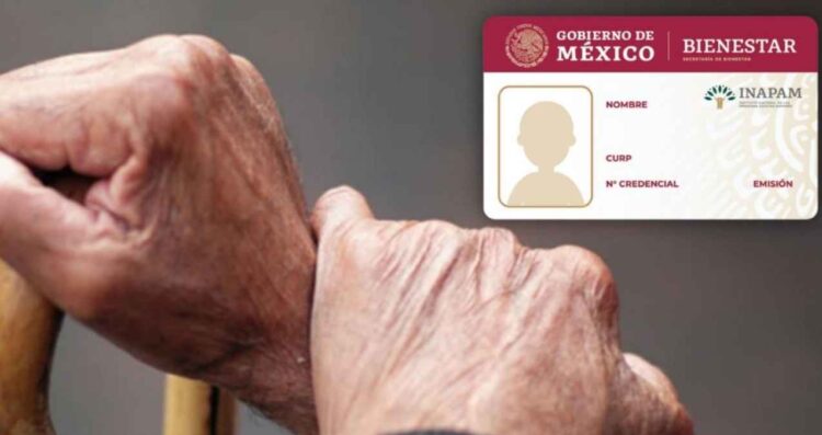 ¿Buscas ahorrar en tu despensa Los mejores descuentos de INAPAM 2025 para adultos mayores
