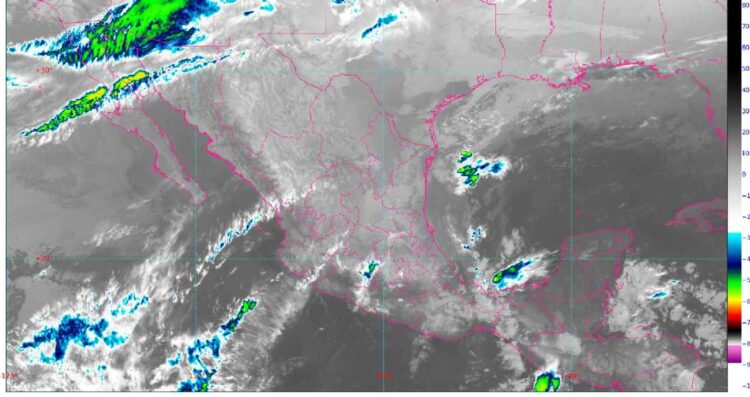 ¿Descenderá la temperatura en Tamaulipas HOY 14 de febrero?