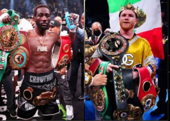 ¿Por qué se canceló la pelea de Canelo vs Terence?