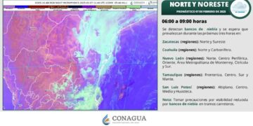 ¿Regresará el calor? Así estará el clima este viernes en Tamaulipas, según el SMN