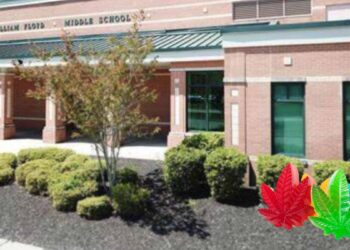 Las autoridades de Nueva York investigan cómo un estudiante obtuvo gomitas de marihuana y las compartió con al menos 12 compañeros en la William Floyd Middle School, en Long Island. El incidente, ocurrido el lunes por la mañana, llevó a 11 de los adolescentes al hospital, según informó la policía del condado de Suffolk. Los estudiantes afectados tienen entre 13 y 14 años, y por ahora no se ha confirmado si el menor que distribuyó las gomitas sabía que contenían la droga. Tampoco se ha revelado cómo obtuvo los comestibles. Hasta la mañana del martes, no se ha informado sobre la evolución de los estudiantes hospitalizados. Sin embargo, el distrito escolar William Floyd señaló que uno de los jóvenes involucrados recibió el alta y regresó a casa con su familia. Consumen gomitas de marihuana en secundaria de Nueva York No se han presentado cargos penales, ni se ha determinado si habrá sanciones disciplinarias para los involucrados. Aunque este no es el primer caso de estudiantes expuestos a comestibles con marihuana en escuelas de Estados Unidos. En años recientes, se han reportado situaciones similares en California y Connecticut, incluyendo un caso en el que niños de primaria en California consumieron gomitas creyendo que eran caramelos. Las autoridades continúan investigando para determinar el origen de los comestibles y si se tomarán medidas adicionales en la escuela. Te puede interesar: Mujer es rescatada con vida tras presuntamente lanzarse del Puente Atirantado en San Pedro, NL