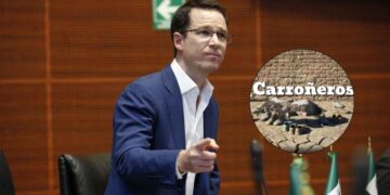Anaya Noroña carroñeros